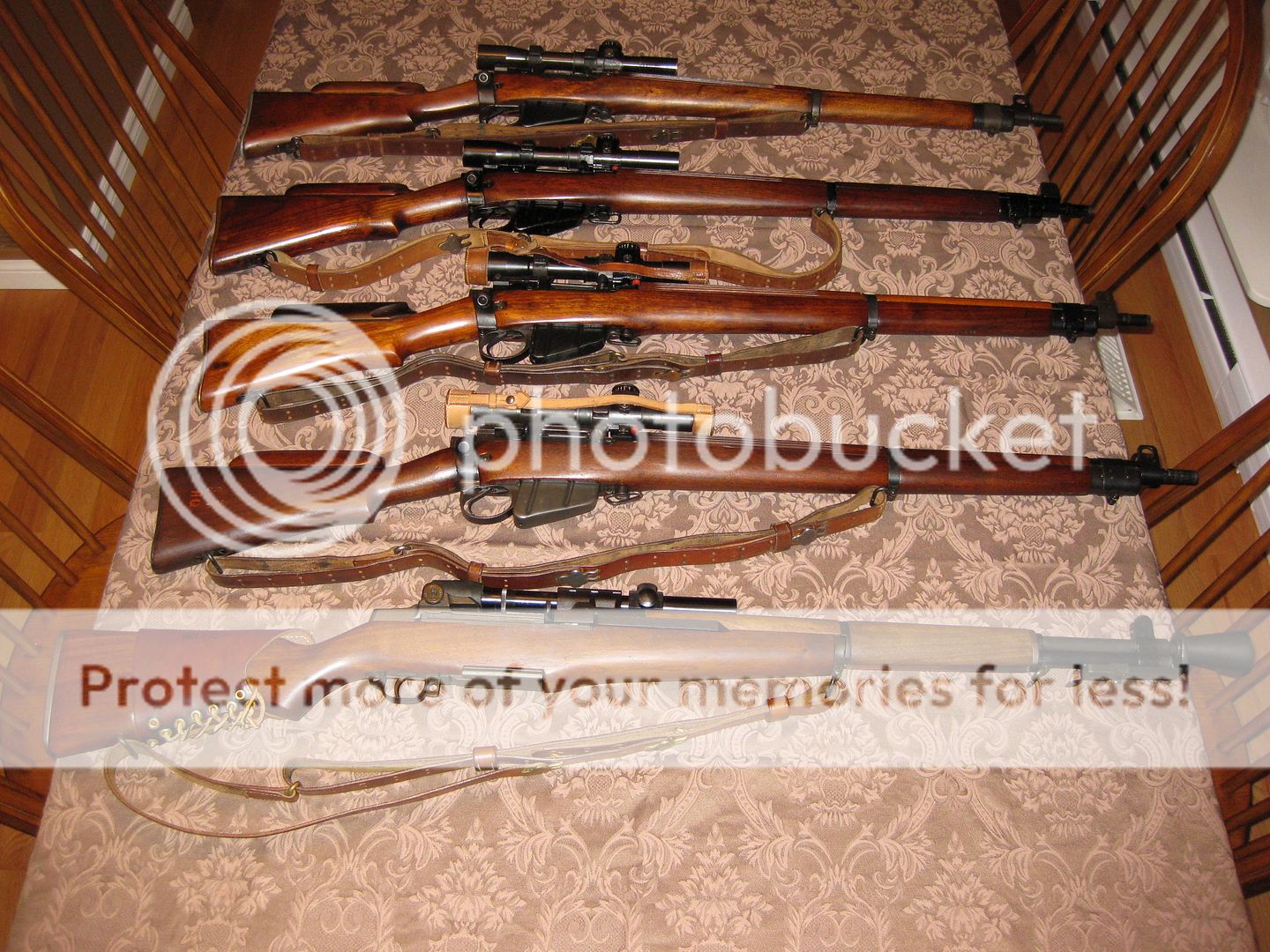 IMG_3088_zps2obvnonx.jpg