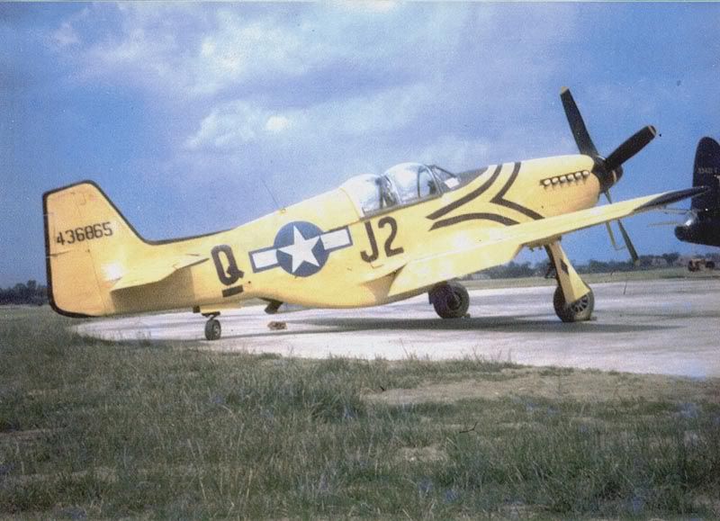 43-6865.jpg