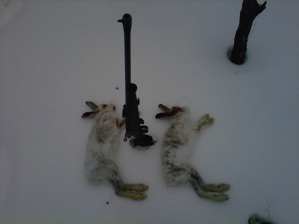 IMG00236-20111226-1400.jpg