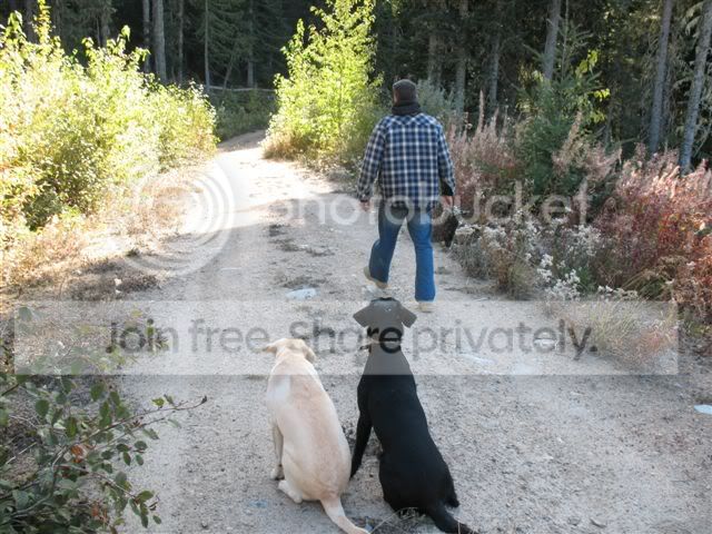Murphy005.jpg