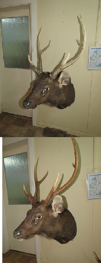 rQuEnwY.jpg