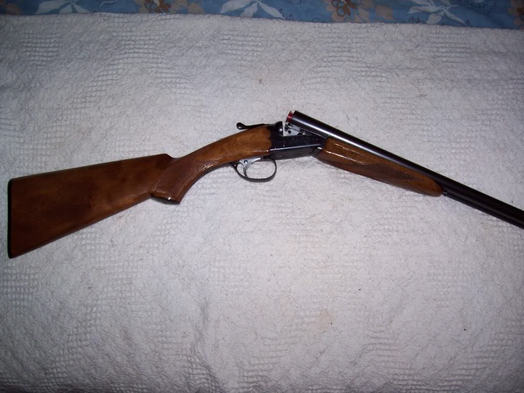 doubleguns001.jpg