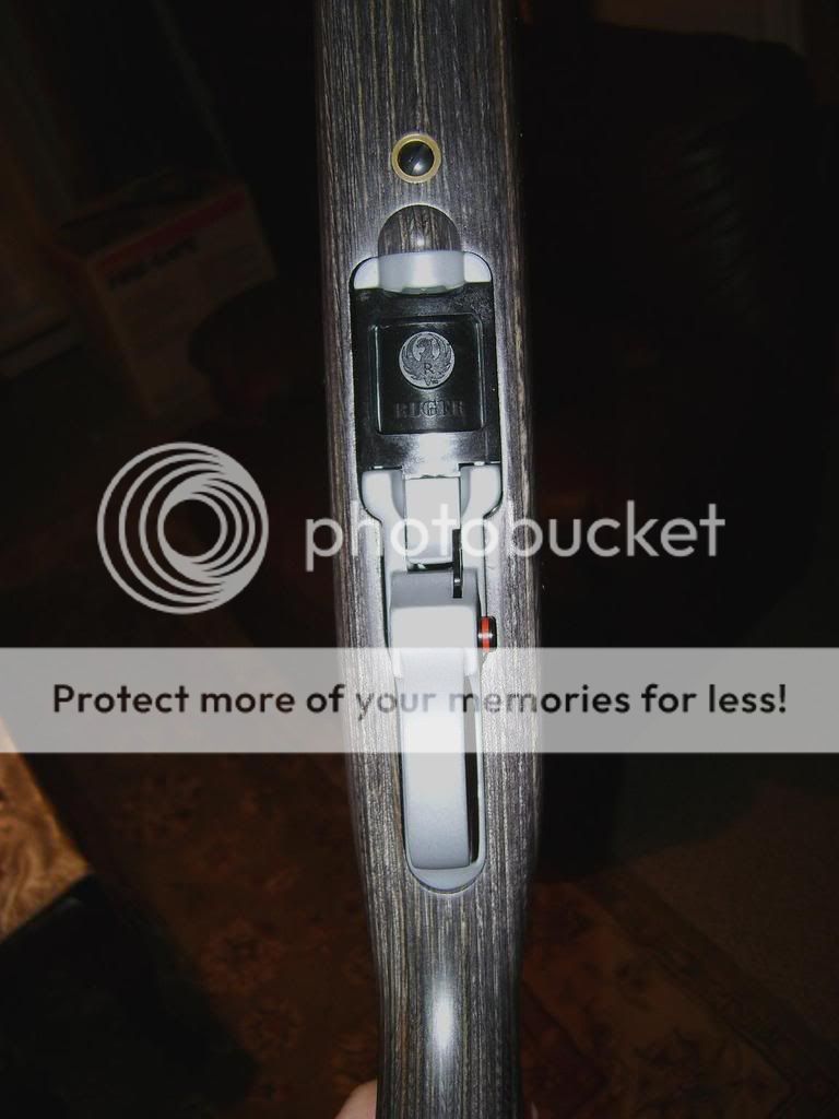 Ruger10-22MagRelease.jpg