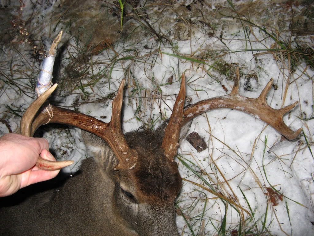 2010OhioBuck4.jpg