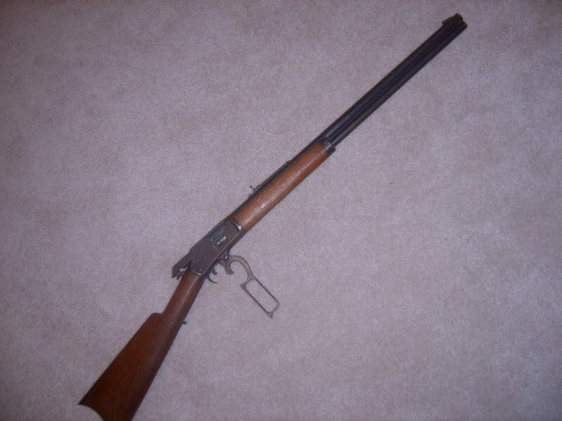 SUC50431.jpg