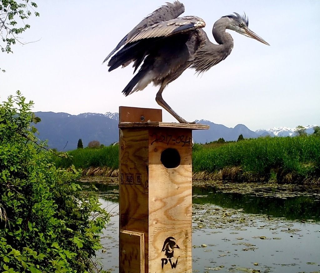 image_zpsqvpvfdyn.jpeg~original