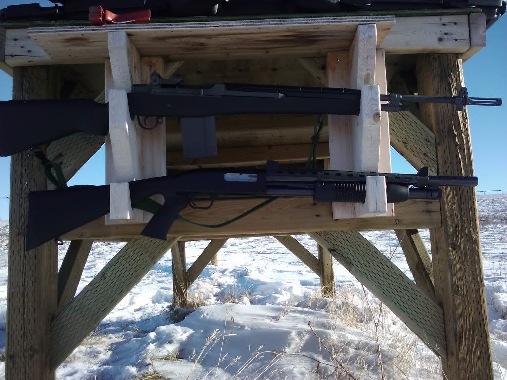 2010-12-05123304_Cayley_Alberta_CA.jpg