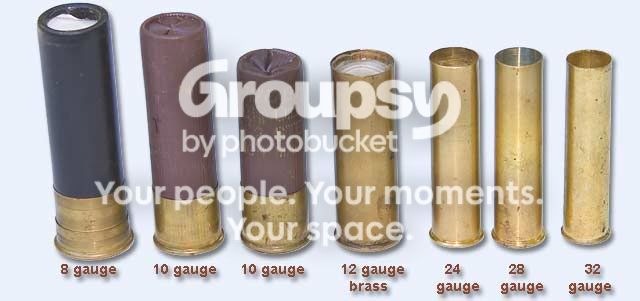 24guageshotshells.jpg