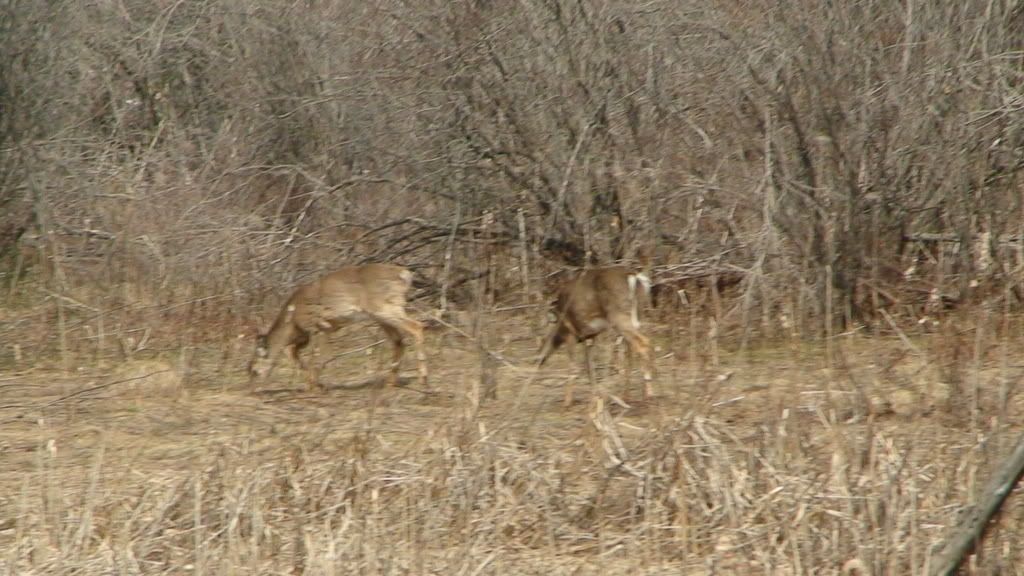 DSC01117.jpg
