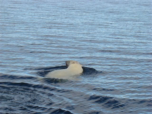 DSC06228-1.jpg