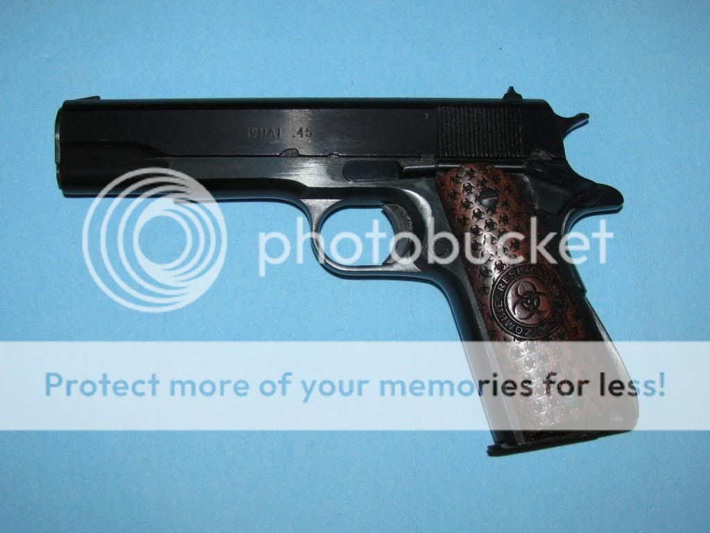 IMG_1133_zps145a1ab0.jpg
