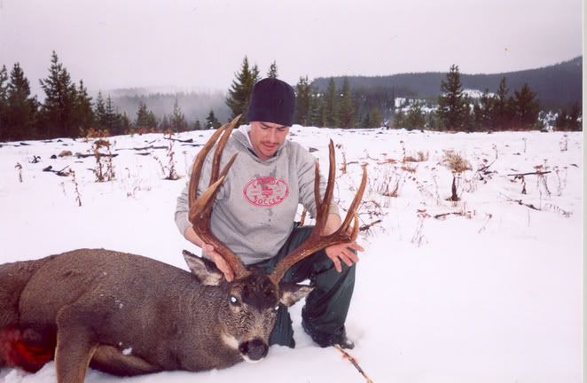 Mymulie1.jpg