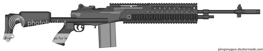 m14EBR.jpg