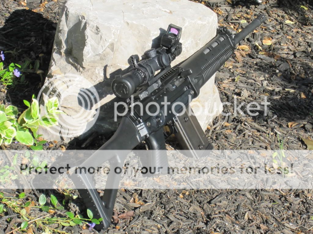 IMG_2285.jpg