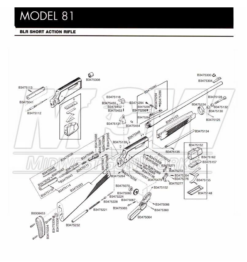 BLR_Pre81_Schm_1.jpg