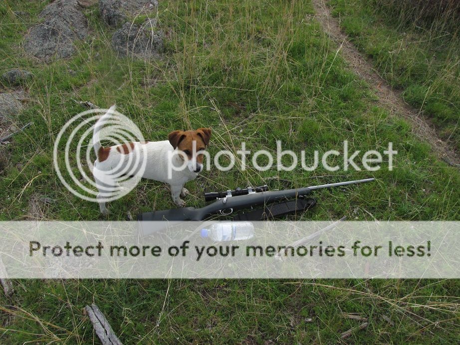 IMG_2661Tuffykimber.jpg~original