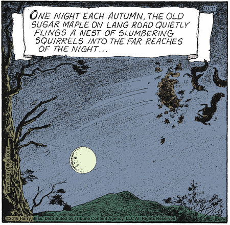 88ef7da06e590134d2c9005056a9545d