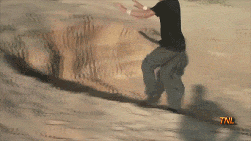 tumblr_ltc2vtQzJ01qg39ewo1_500.gif