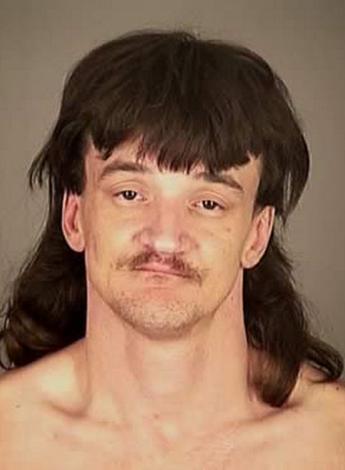 Funny-Mug-Shots-mullet.jpg