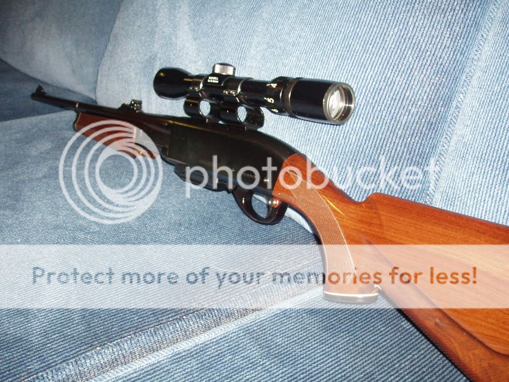 005-1.jpg