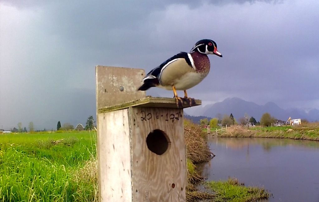 SUNP0163_zpshpghvzta.jpg~original