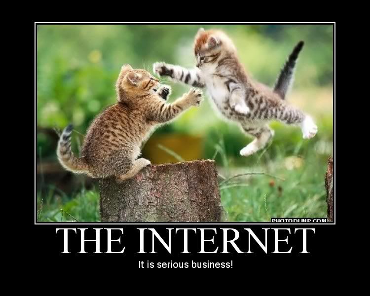 CatFight.jpg