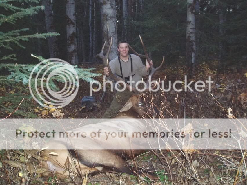 Elk9.jpg