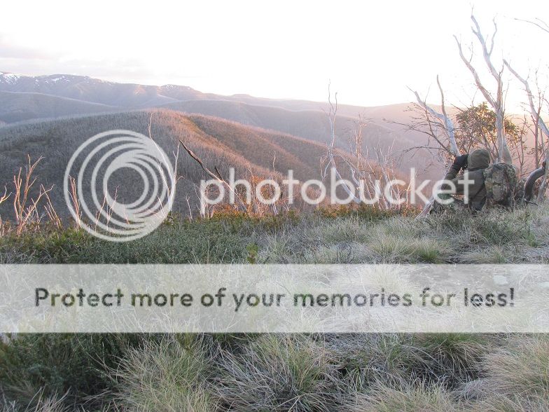 IMG_4133MWglass.jpg~original