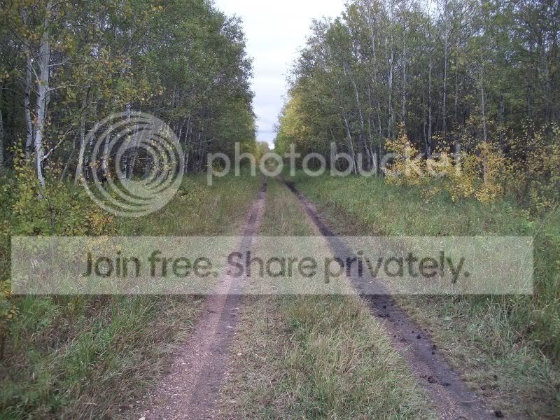 Trailax.jpg