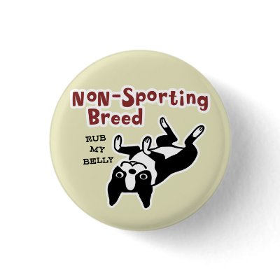 boston_terrier_non_sporting_breed_button-p145130094322196568q37f_400.jpg