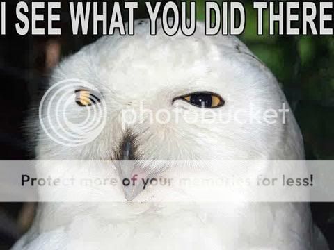 iseewhatyoudidthere-40431.jpg