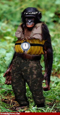 Monkey-Bomb--34052.jpg