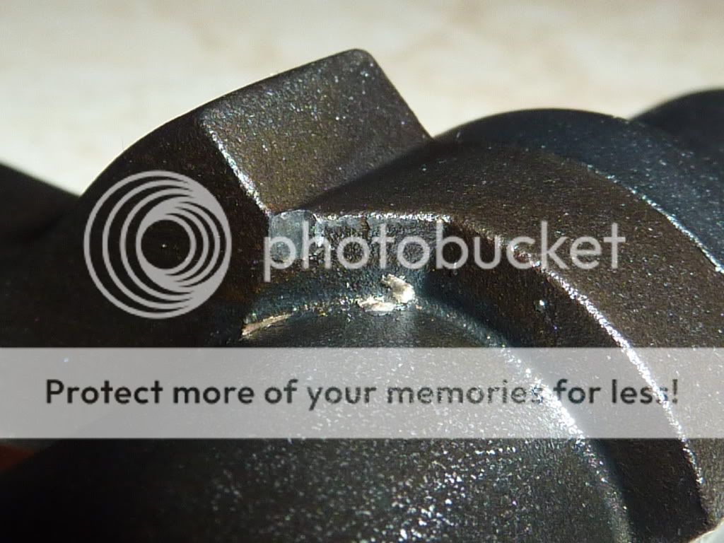 Picture455.jpg