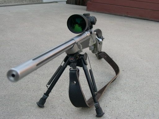 z003.jpg