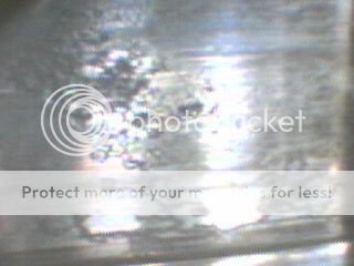 IMG_0897_zpsmemdye5d.jpg