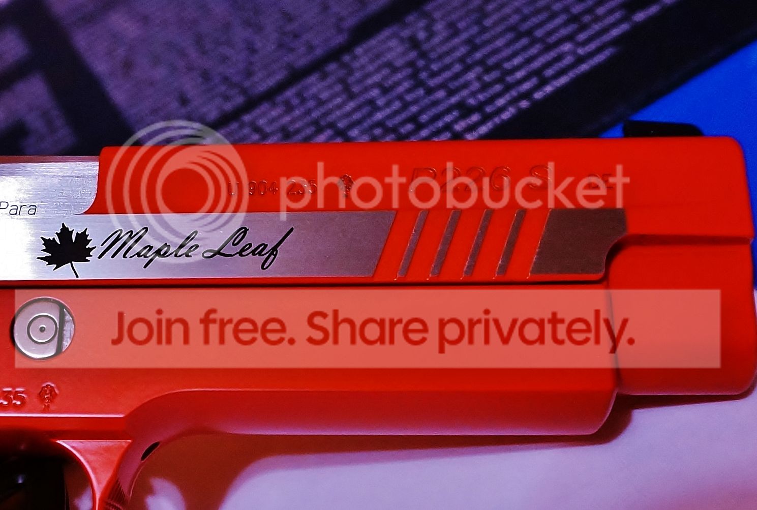 DSC08488_zpsf0f8h6bz.jpg