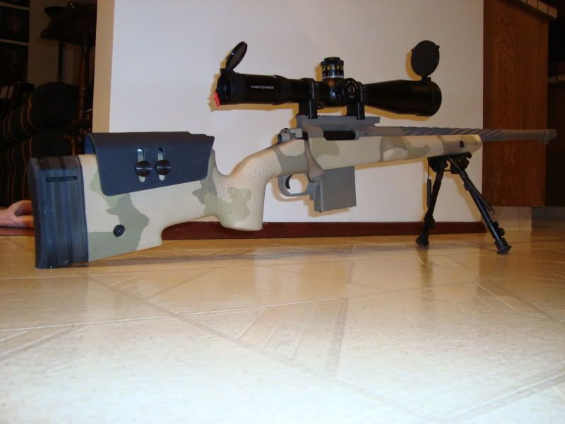 coyote006.jpg