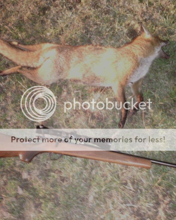 IMG_20160529_212448.jpg~original