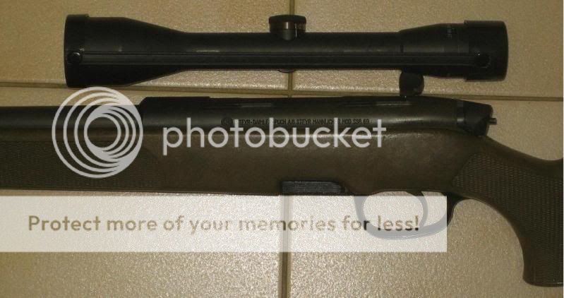81SSG4.jpg