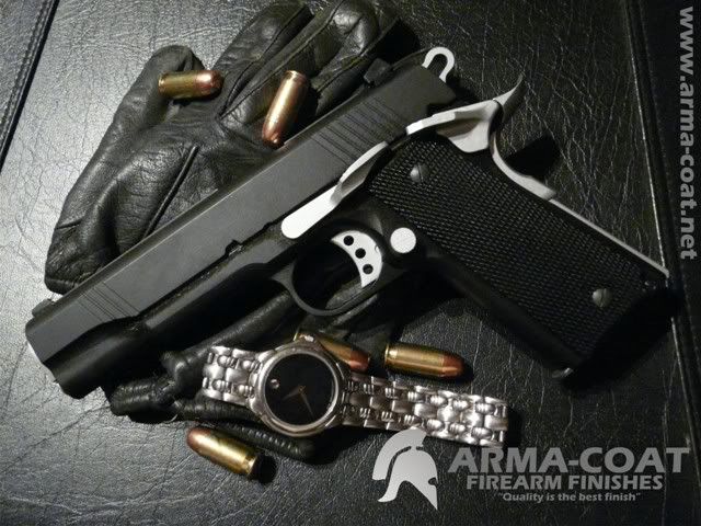 Stealth1911ss3.jpg