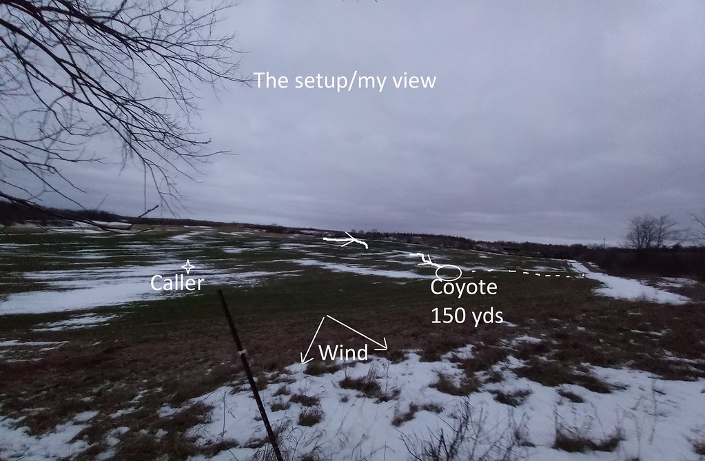 52682302551_67133e1dc2_b.jpg
