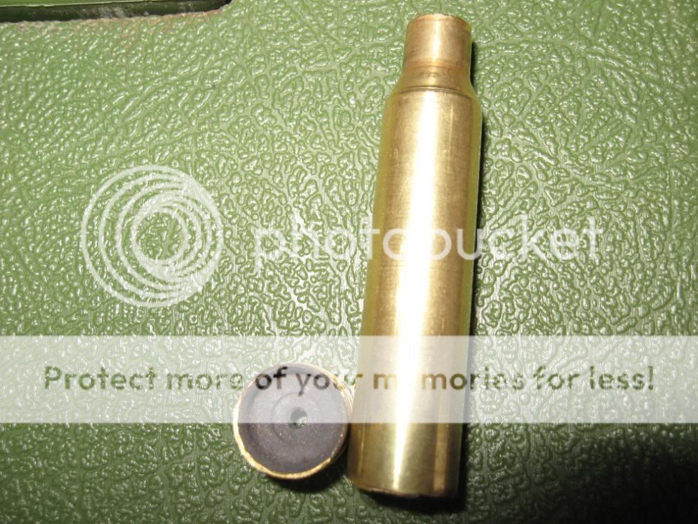 Shells009.jpg