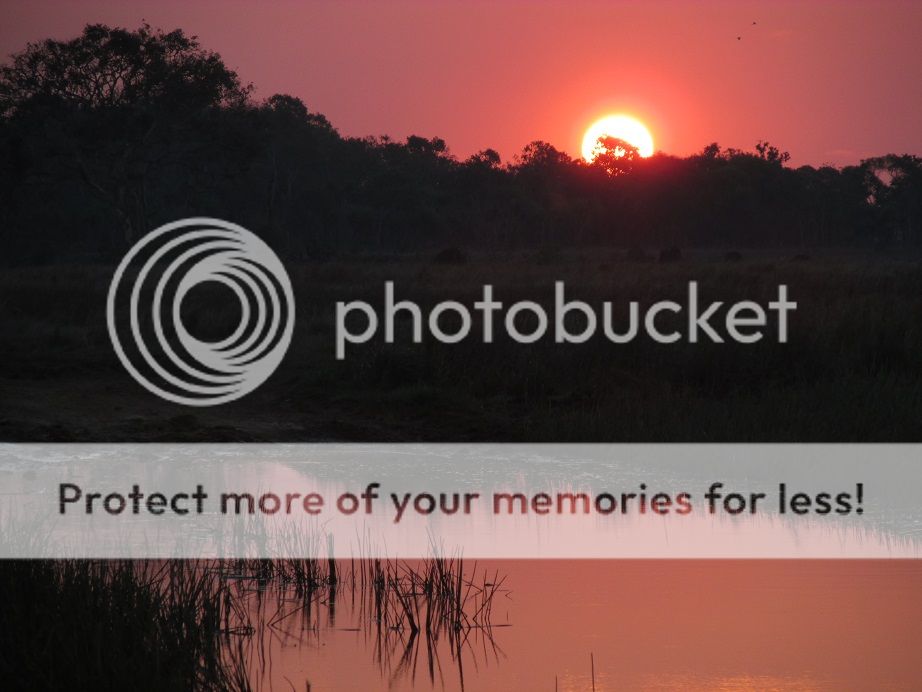 IMG_1463sunset1.jpg~original