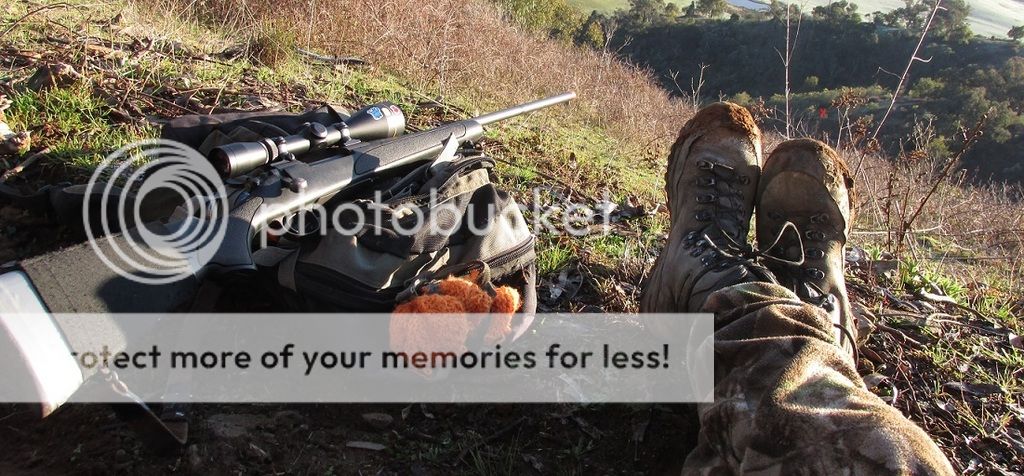 august%20shot%20pic.jpg~original