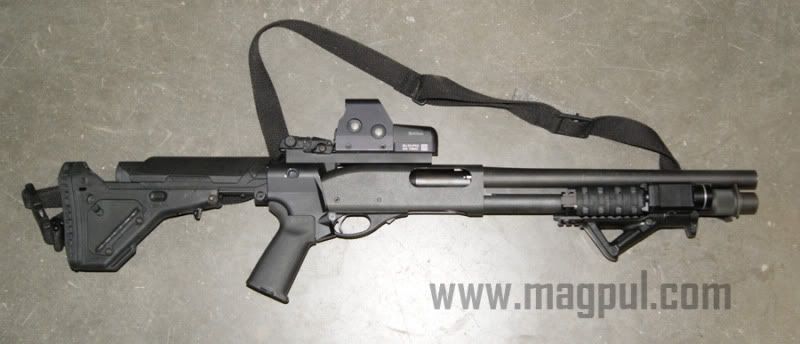 afg4.jpg