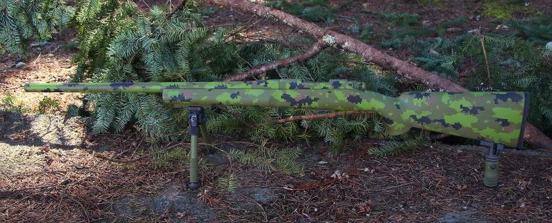 rifleandswallow002.jpg