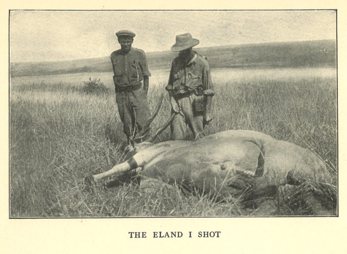 eland-model-8-e1661356437124.jpg
