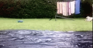 tumblr_lyp8gvD5wk1qcxs7io1_400.gif