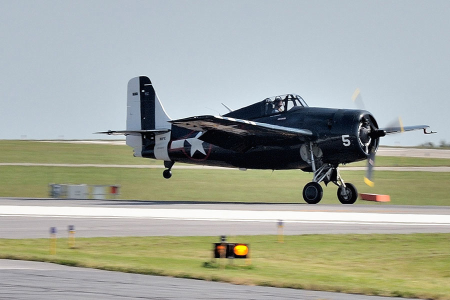 WILDCAT-4.jpg