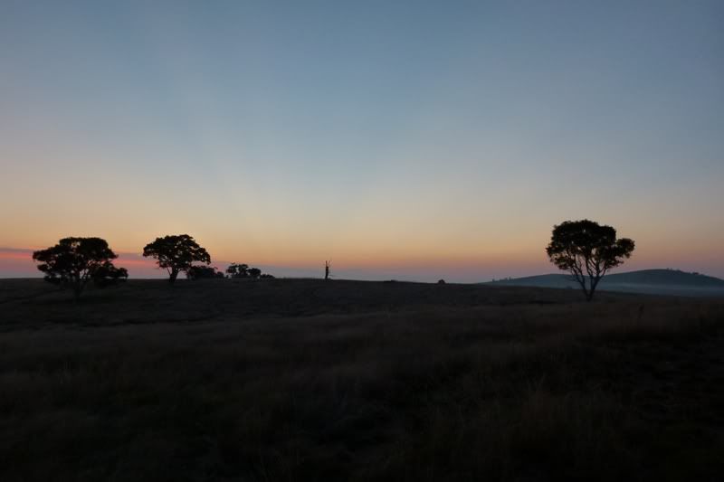 P1000270.jpg